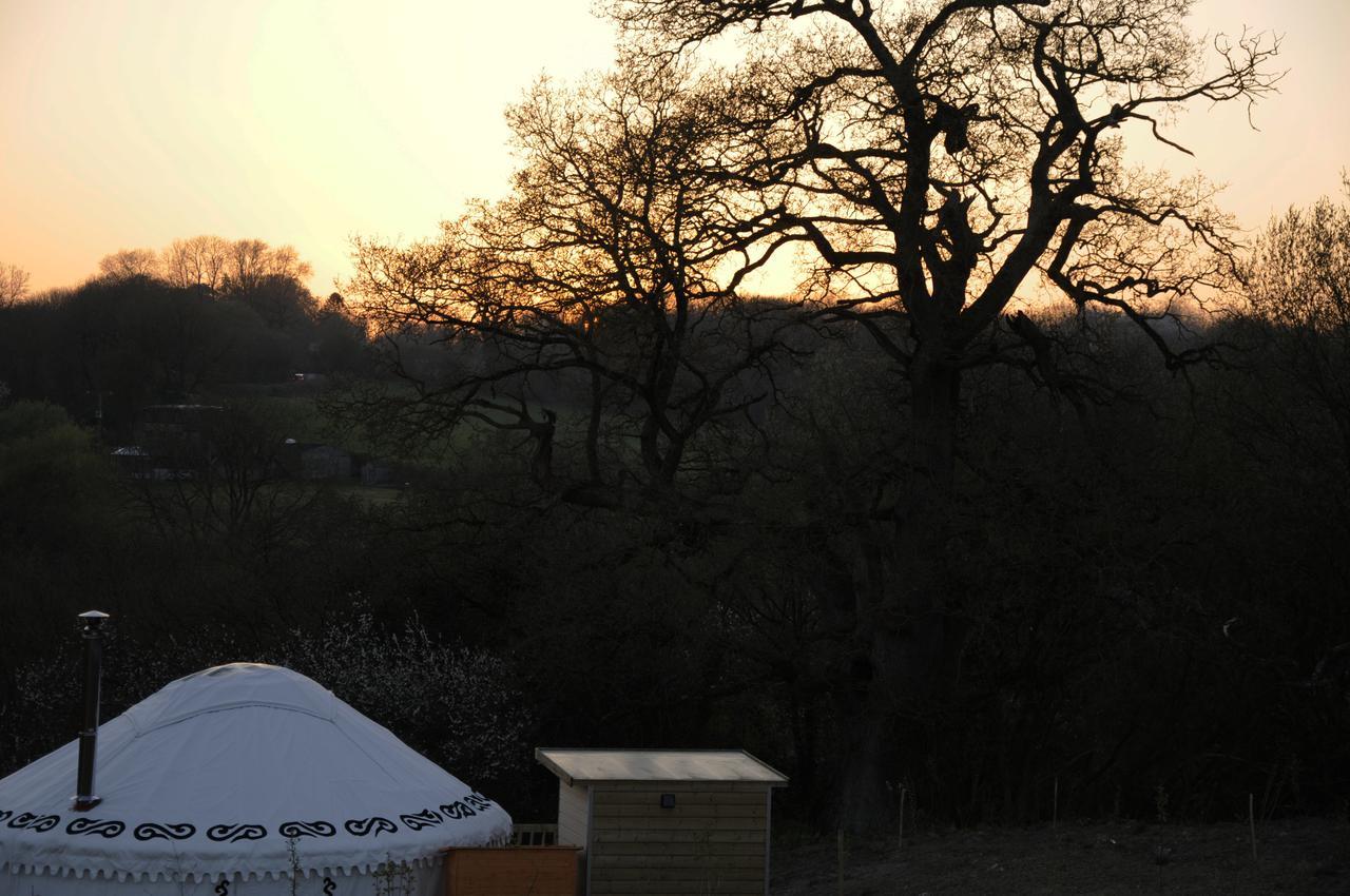 Glamping On The Hill Ξενοδοχείο Mells Εξωτερικό φωτογραφία